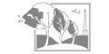 Logo for Court Fields School